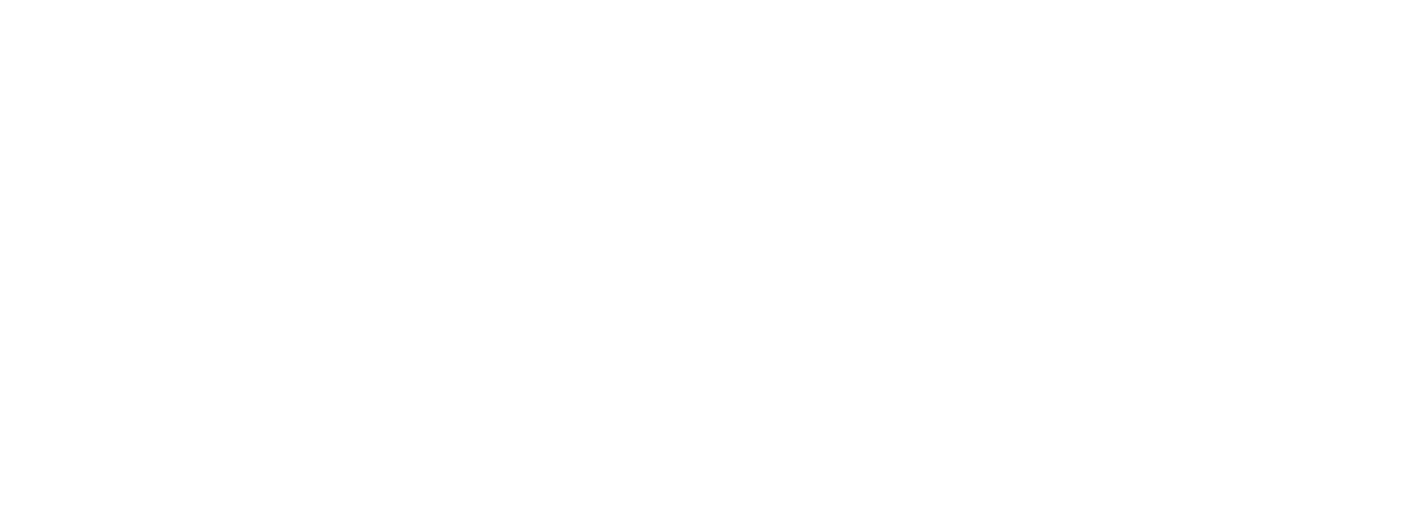 footer_logo.png